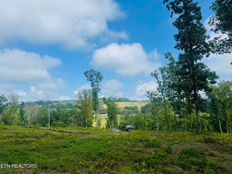 0 Tract 2 Mill Creek Rd, Andersonville, TN 37705