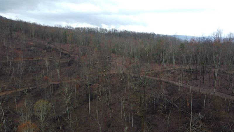 0 Tract 2 Roe Ln, Winfield, TN 37892