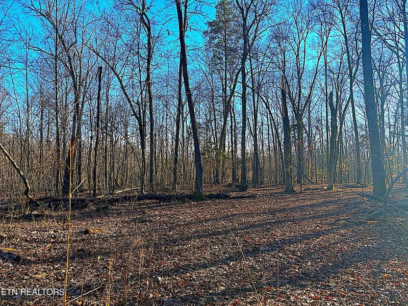 0 Tract 4 & 5 Simpson Rd, Lenoir City, TN 37771