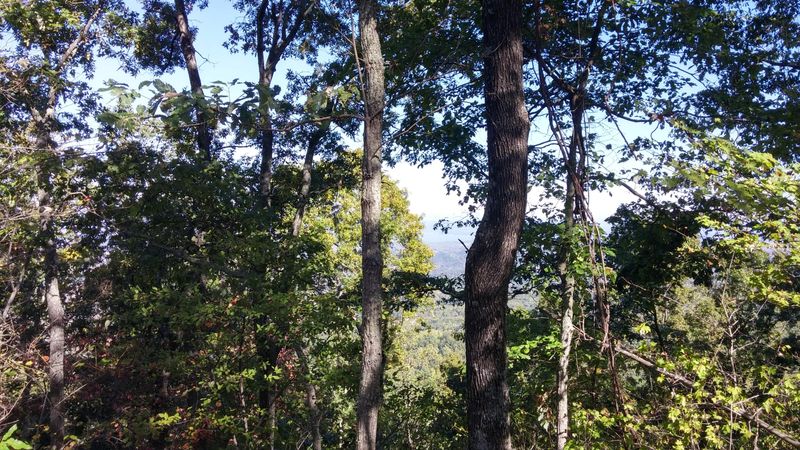 0 Tract 4 9 10 Alpine Dr, Sevierville, TN 37876