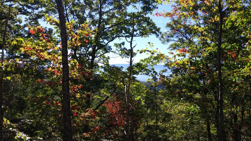 0 Tract 4 9 10 Alpine Dr, Sevierville, TN 37876
