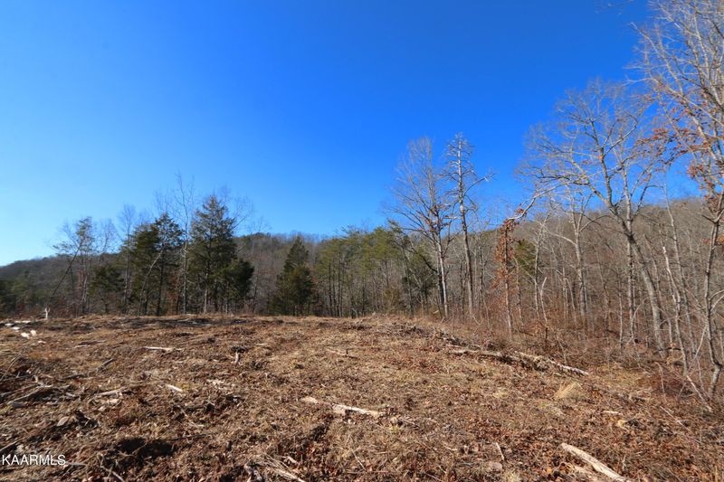 0 Tract 4 Bill Moser Rd, Vonore, TN 37885