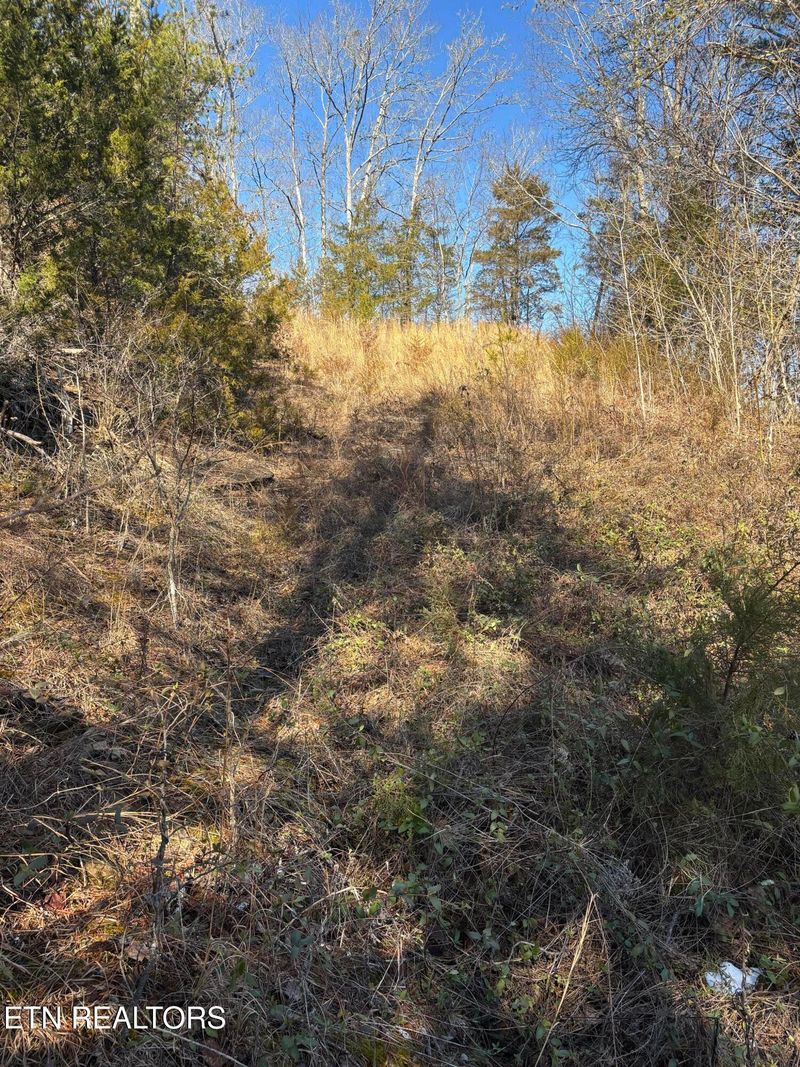 0 Tract 4 Rule Hollow Rd, Sevierville, TN 37876
