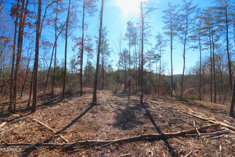 0 Tract 5 Bill Moser Rd, Vonore, TN 37885