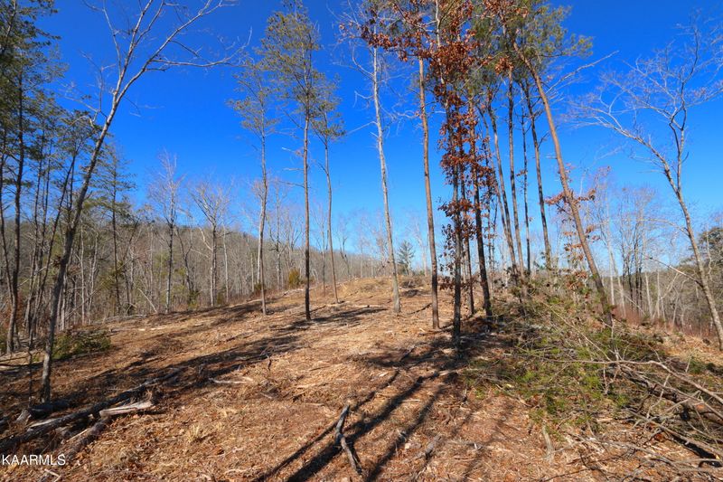 0 Tract 5 Bill Moser Rd, Vonore, TN 37885