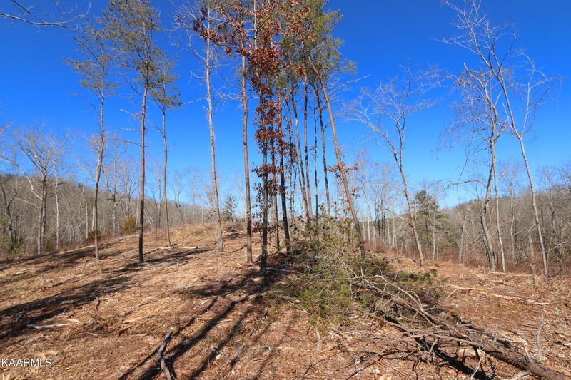 0 Tract 5 Bill Moser Rd, Vonore, TN 37885