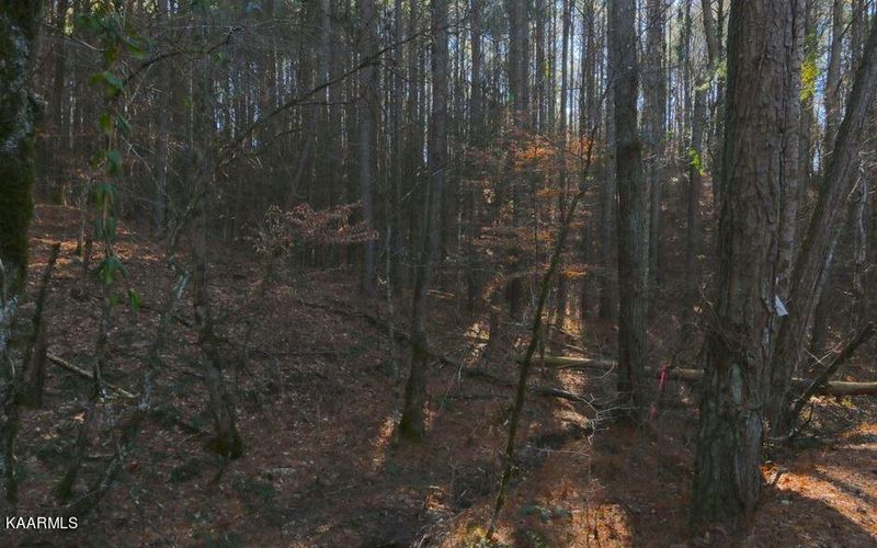 0 Tract 8 Bill Moser Rd, Vonore, TN 37885