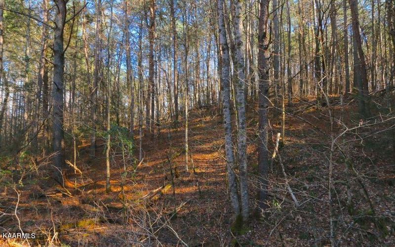 0 Tract 8 Bill Moser Rd, Vonore, TN 37885