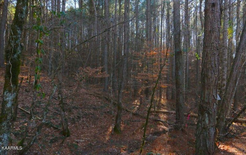 0 Tract 8 Bill Moser Rd, Vonore, TN 37885