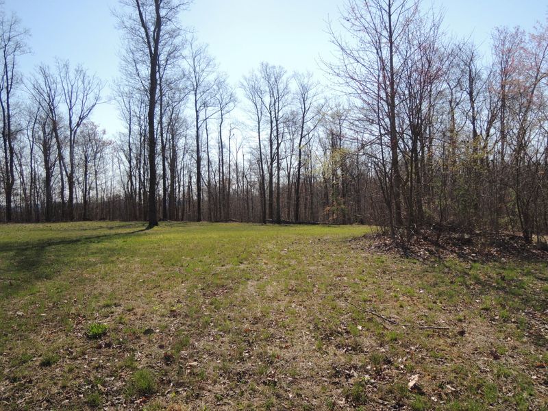 0 Trammell Cemetery Rd, Winfield, TN 37892