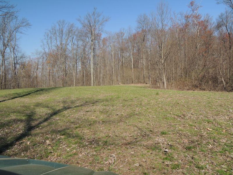 0 Trammell Cemetery Rd, Winfield, TN 37892