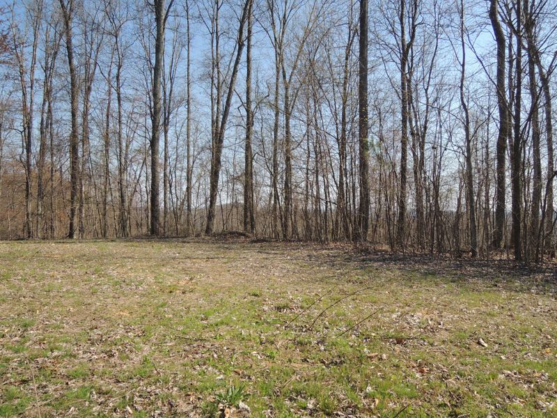 0 Trammell Cemetery Rd, Winfield, TN 37892