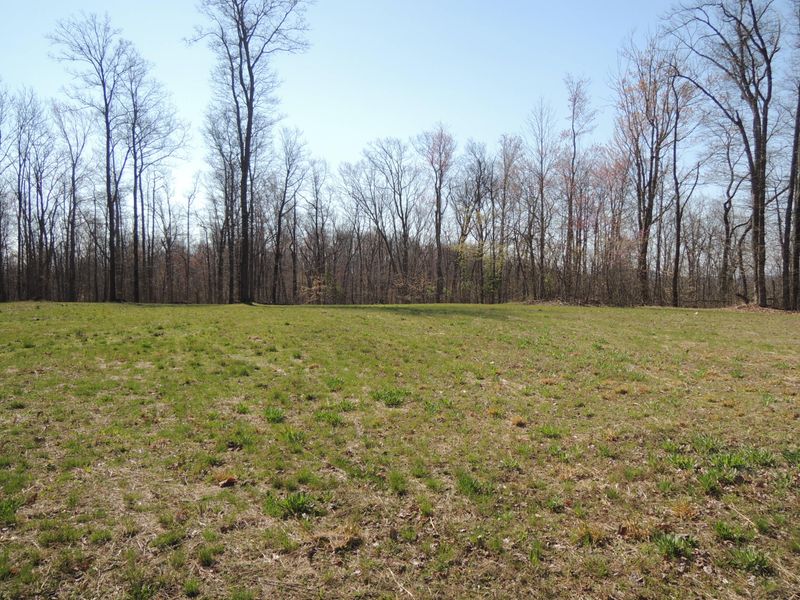 0 Trammell Cemetery Rd, Winfield, TN 37892