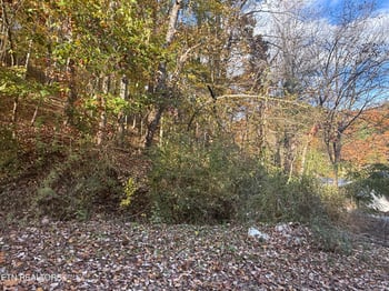 0 Trentham Way, Pigeon Forge, TN 37863