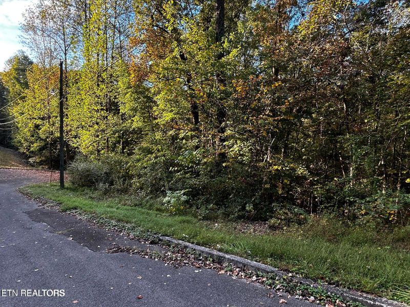 0 Trenton Ln, Clinton, TN 37716