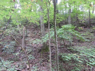 0 Tsali Dr, Pigeon Forge, TN 37876