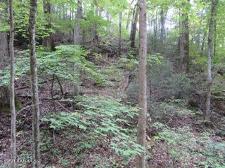 0 Tsali Dr, Pigeon Forge, TN 37876