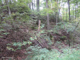 0 Tsali Dr, Pigeon Forge, TN 37876