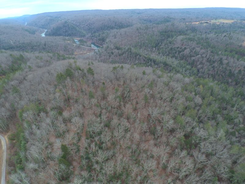 0 Turkey Blind Rd, Wartburg, TN 37887