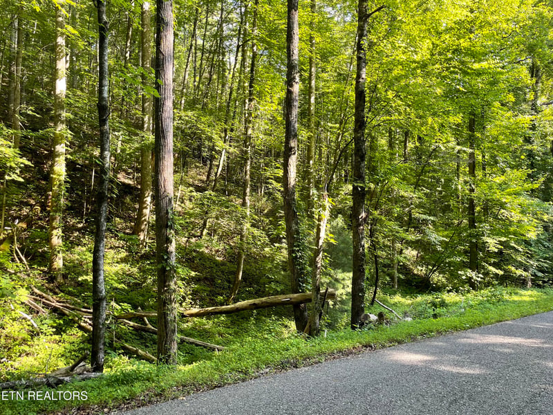 0 Turkey Creek Rd, Tellico Plains, TN 37385