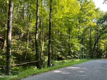0 Turkey Creek Rd, Tellico Plains, TN 37385