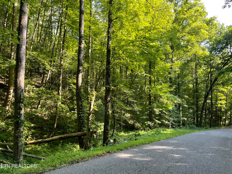 0 Turkey Creek Rd, Tellico Plains, TN 37385