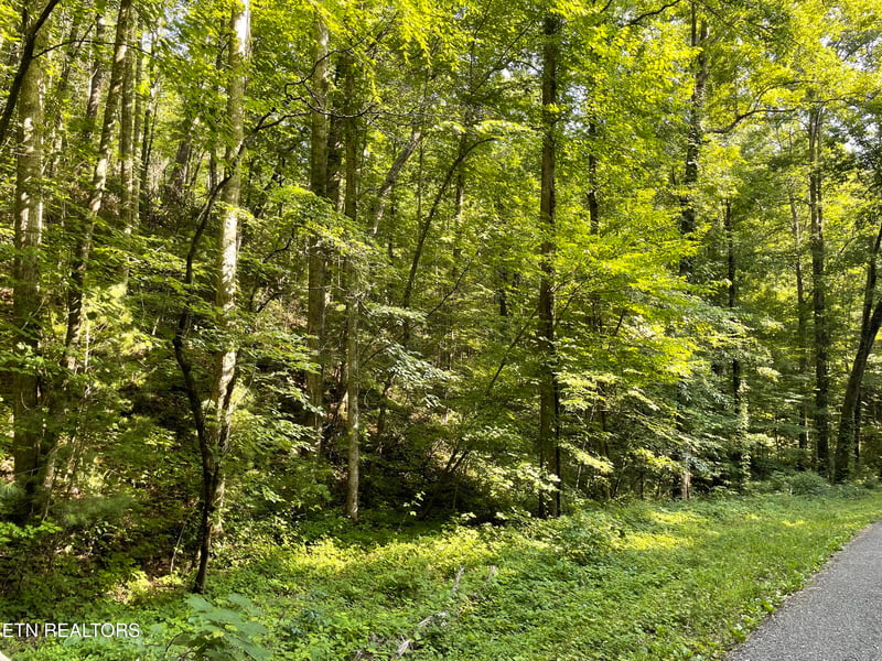 0 Turkey Creek Rd, Tellico Plains, TN 37385