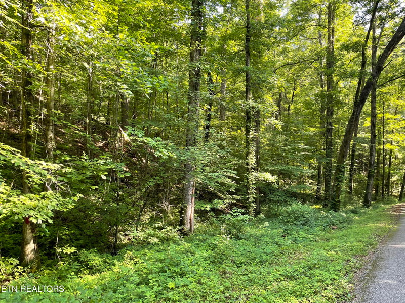 0 Turkey Creek Rd, Tellico Plains, TN 37385