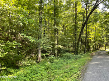 0 Turkey Creek Rd, Tellico Plains, TN 37385