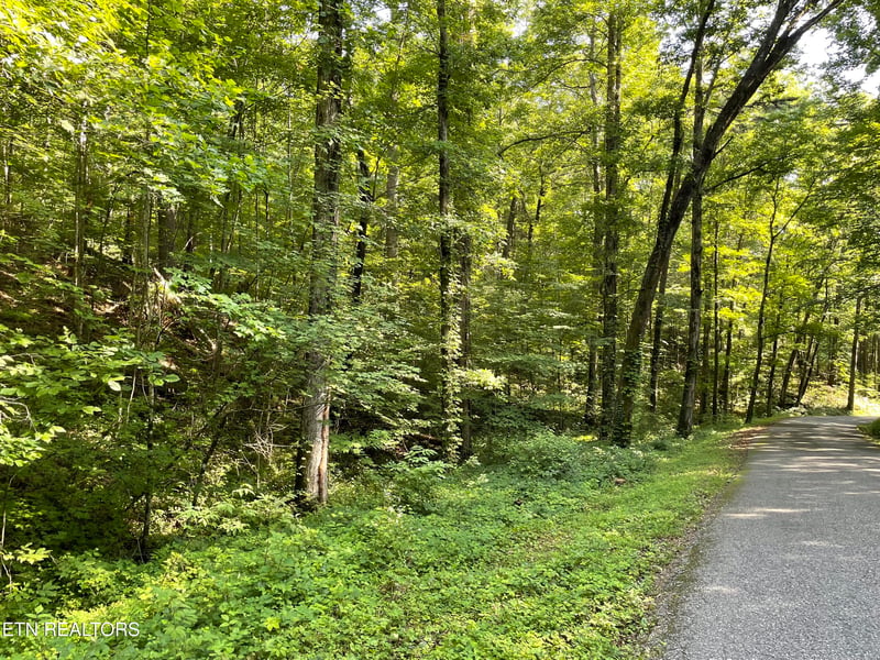 0 Turkey Creek Rd, Tellico Plains, TN 37385