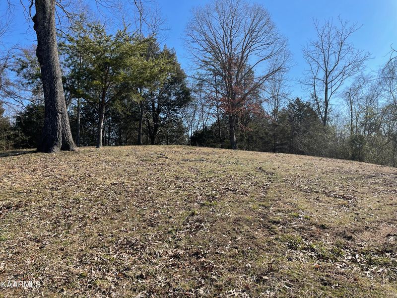 0 Turtle Pointe Rd, Bean Station, TN 37708