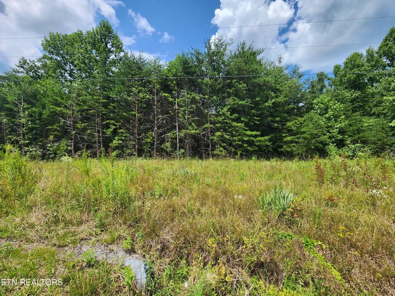 0 Twin Bridge Rd, Deer Lodge, TN 37726