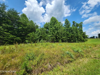 0 Twin Bridge Rd, Deer Lodge, TN 37726