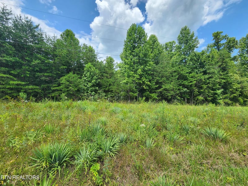 0 Twin Bridge Rd, Deer Lodge, TN 37726
