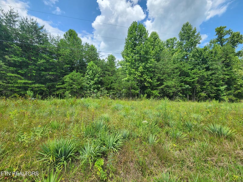 0 Twin Bridge Rd, Deer Lodge, TN 37726