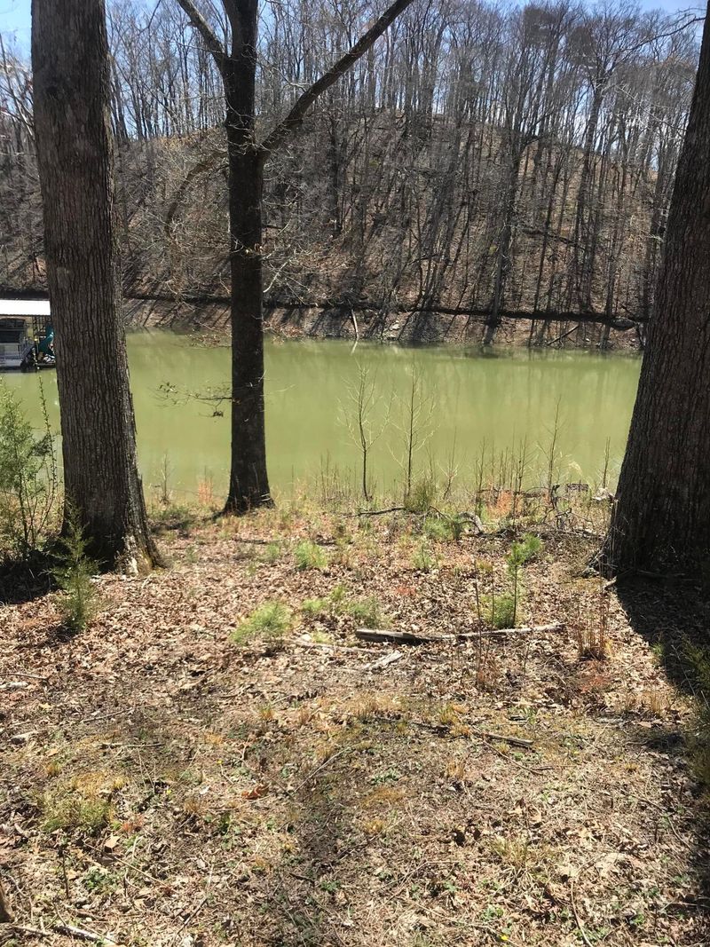 0 Twin Cove Cir, Caryville, TN 37714