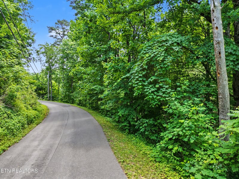 0 Twin Oaks Rd #39, Gatlinburg, TN 37738