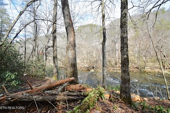 0 Twin Pines Way, Sevierville, TN 37876