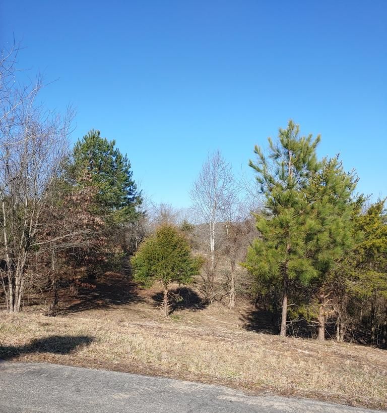 0 Unole Tr Lot 11, Vonore, TN 37885