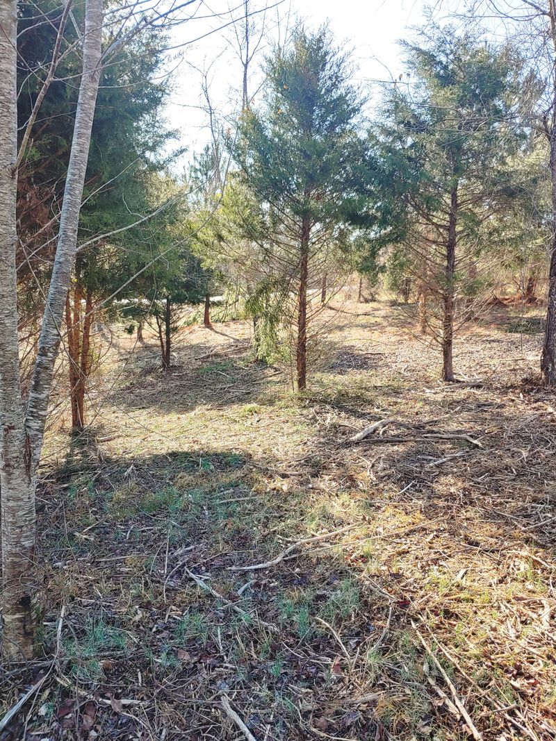 0 Unole Tr Lot 11, Vonore, TN 37885