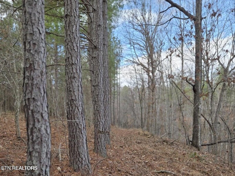 0 Us 27, Sunbright, TN 37872