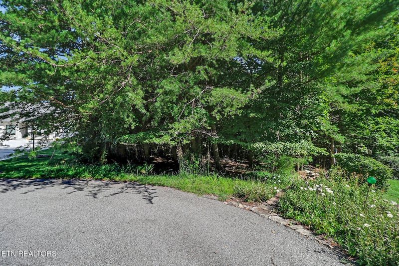 0 Valarian Dr, Fairfield Glade, TN 38558