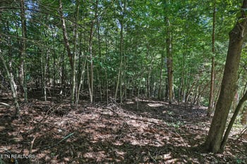 0 Valarian Dr, Fairfield Glade, TN 38558