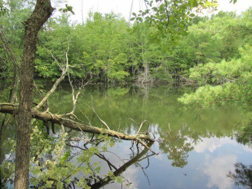 0 Valarian Terr, Fairfield Glade, TN 38558