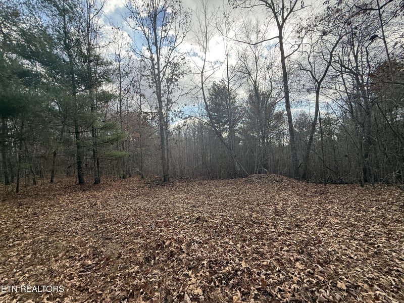0 Valerie Drive 10 77 Acres Dr, Deer Lodge, TN 37726