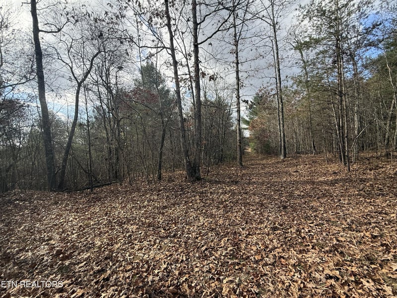 0 Valerie Drive 10 77 Acres Dr, Deer Lodge, TN 37726
