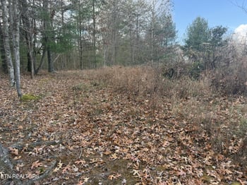 0 Valerie Drive 10 77 Acres Dr, Deer Lodge, TN 37726