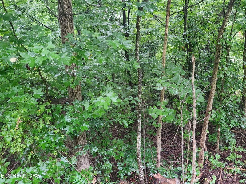 0 Vann Dr, Harriman, TN 37748