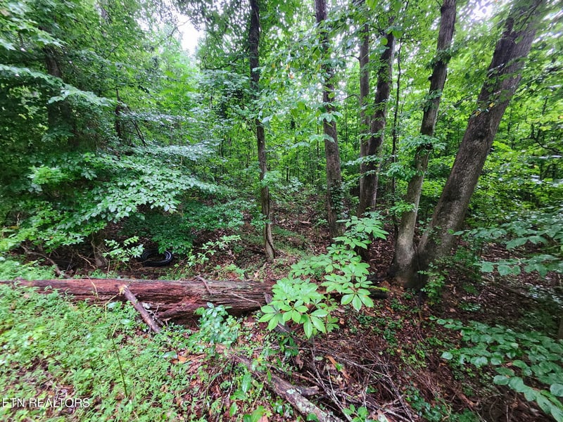 0 Vann Dr, Harriman, TN 37748