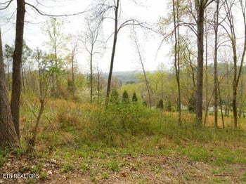 0 Vann Dr, Harriman, TN 37748